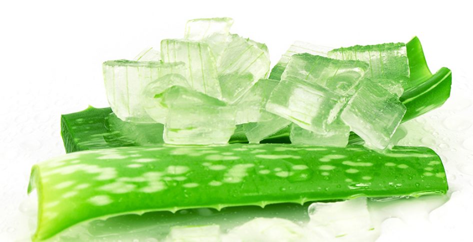 Botanical Actives in Skincare: Aloe Vera
