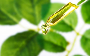 How to Choose Anti-Aging Skin Care Ingredients